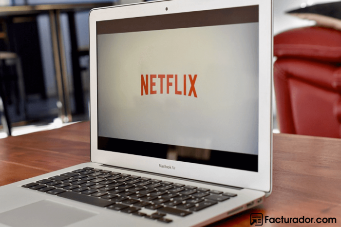 ¿Puede una empresa deducir la facturación de Netflix?